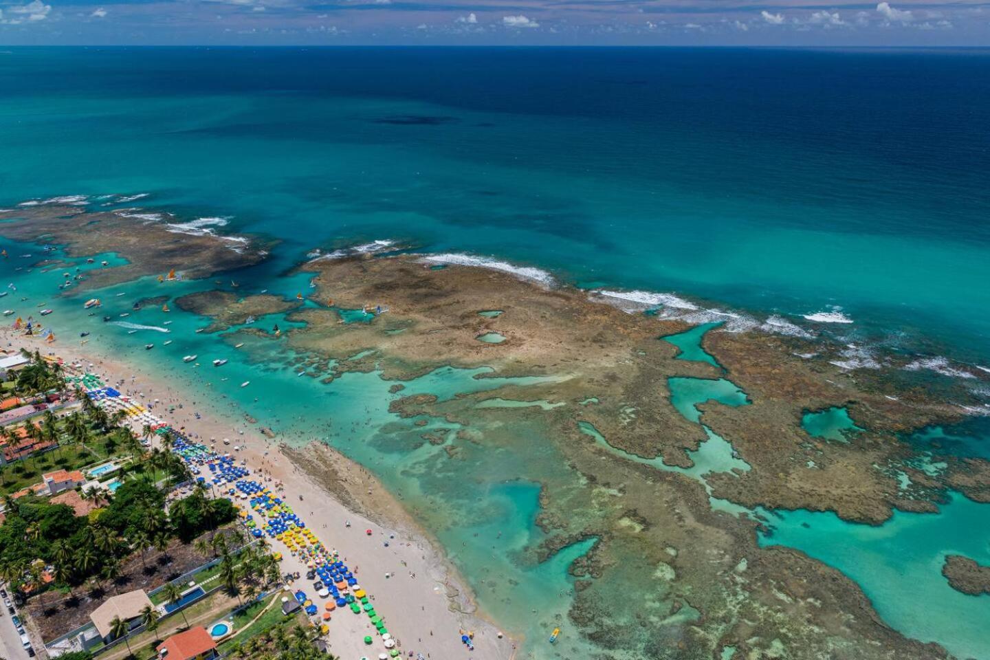 Studio Em Porto De Galinhas - Vista P Piscina Exteriör bild